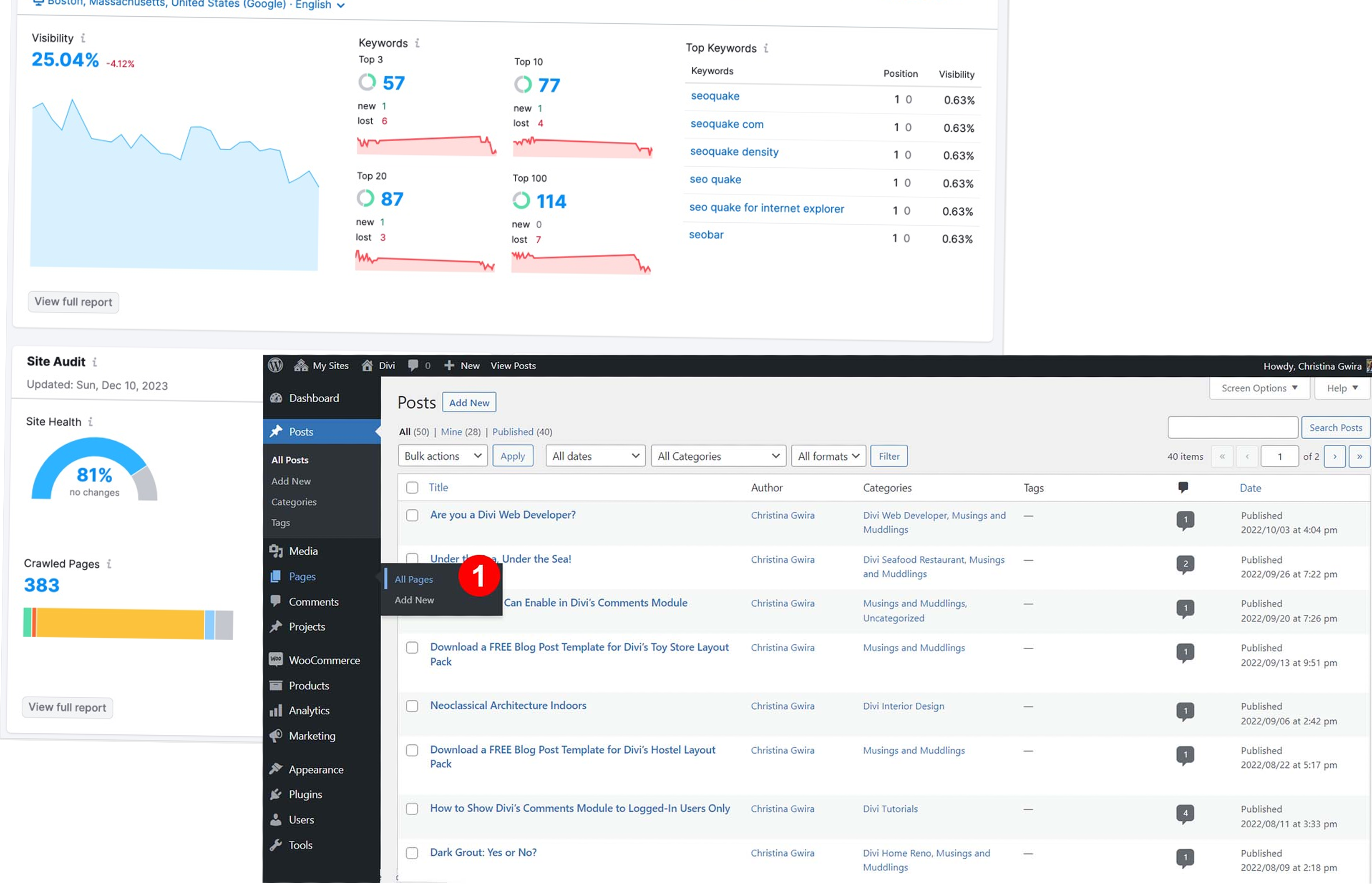 WordPress Website Development